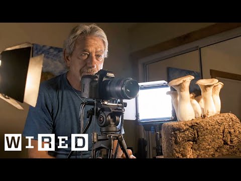 How Mushroom Time-Lapses Are Filmed | WIRED