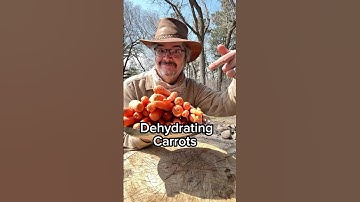 Making Dehydrated Carrots!