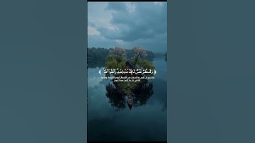 يا أيها الذين آمنوا اتقوا الله || تلاوة هادئة 🌿 للقارئ #احمد_النفيس ارح سمعك 🖤🎧🤍