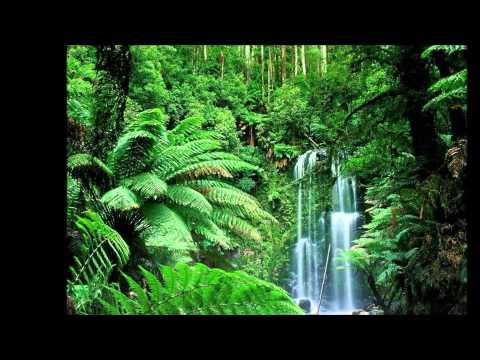 أنشودة أدعوك لمشاري راشد العفاسي 