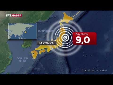 Büyük Japonya depremi: Neler yaşandı?
