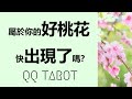 #QQ塔羅【520特輯】屬於你的好桃花/對的人快要（或已經）出現了嗎？Ta是誰？將爲你帶來怎樣甜蜜的戀愛？