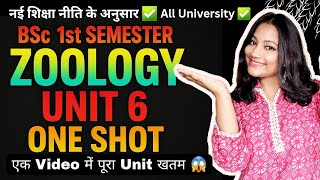 Zoology Unit 6 One Shot 🔥 |  BSc 1st Semester | Extensions of Mendelism, Genes & Environment