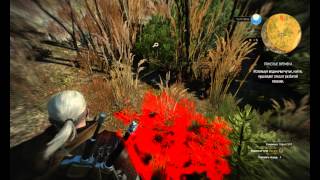 The Witcher 3 письмо для кузнеца в Каер Трольде The Witcher 3 письмо для кузнеца в Каер Трольде