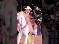 Ver a #JoanSebastian arriba de un caballo, es #inspirador…#MeLaEscondieronSusPadres desde #Wisconsin