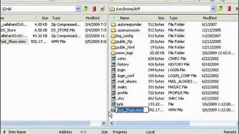 Transferring files with CuteFTP Home