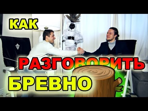 Как разговорить бревно? Интервью