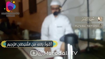 Қори Муродалӣ сураи Зумар 73-74 / القارئ مراد على سورة الزمر ٧٣-٧٤  (Murodali TV)