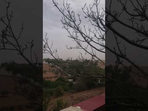 سعدية تسلم عليكما وثوحيبكم والله يحفضن توركم سل