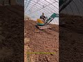 Construction site of Shanding