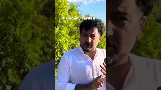 Çi̇çekte Sürgün Almak Faydalimi Ğacı