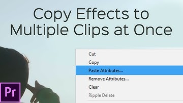 Copy Effects to MULTIPLE CLIPS at once in PREMIERE - Paste Attributes