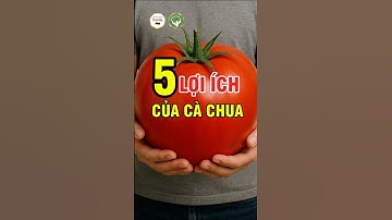 5 Lợi Ích Tuyệt Vời Của Cà Chua – Vừa Làm Đẹp Da, Vừa Phòng Bệnh | Đức Phương Medical