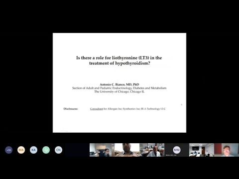 Is There a Role for Liothyronine (LT3) in the Treatment of Hypothyroidism?