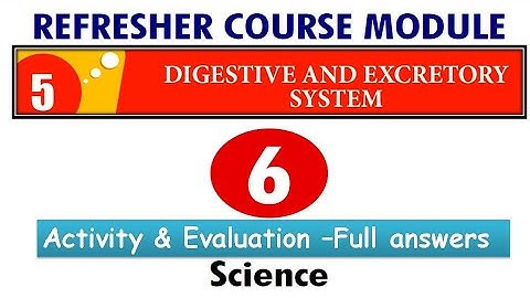 Refresher module| 6th science| unit5 | Digestive and excretory system| with answerkey|English medium