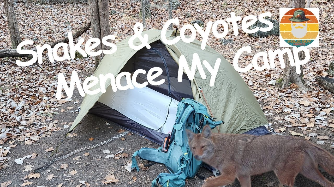 I Wasn’t Alone That Night… Snakes & Coyotes | HaHa Tonka Hiking and Camping Adventure!