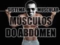 Vídeo Aula 112 - Anatomia Humana - Sistema Muscular: Músculos do Abdômen (Reto Abdominal e Oblíquos)