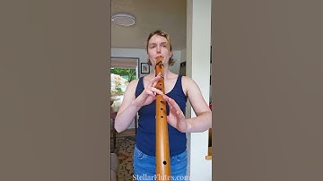 Western red cedar Native American style D flute by Stellar Flutes