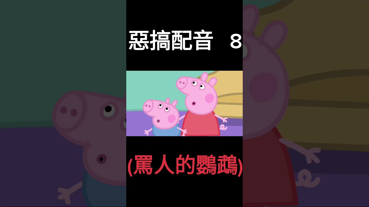 惡搞配音 8 #罵人的鸚鵡 #搞笑 # #搞笑影片
