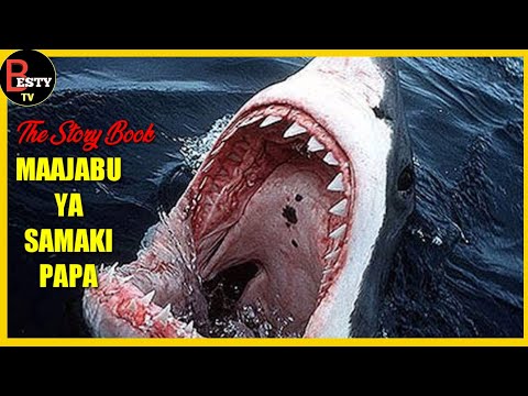 MFAHAMU SAMAKI PAPA MWENYE MAAJABU MENGI SANA NI HATARI 