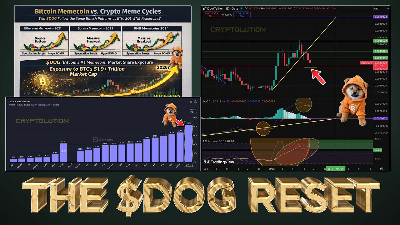 The $DOG Reset Everyone Was Waiting For is Here 🎯✓ - YouTube