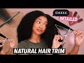 TRIMMING My Natural Hair *DETAILED* | Bri Hall