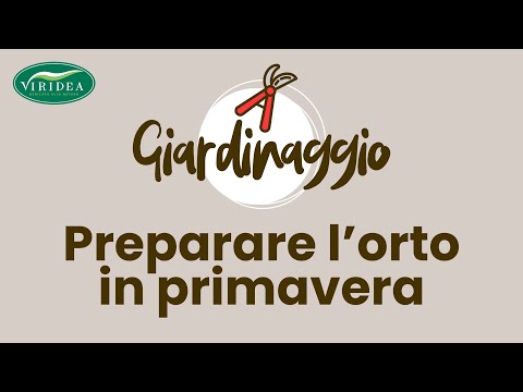 5 Coltivazioni facili da Seminare in Primavera - Gogoverde