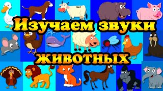 ЗВУКИ ЖИВОТНЫХ для самых маленьких - развивающие мультики для детей - как говорят животные