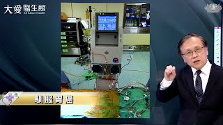 【大愛醫生館】馴服胃癌 20230816