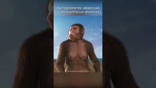 Еще не человек, но уже не обезьяна: австралопитек афарский #эволюция #ученые_против_мифов