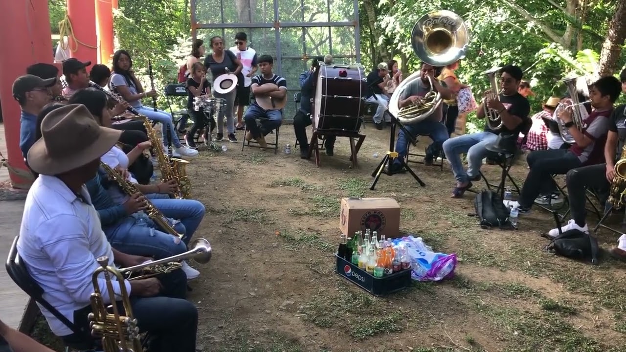 Enorme distancia , Banda Mpl. Santo Domingo Albarradas, Santiago Zoochila,Oax. 26 Julio que 2024