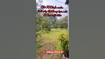 Vườn nghỉ dưỡng thế lưng tựa núi,  vườn siêu đẹp chỉ 700tr/s. Lh 0866789437 #muabandatgiare #bds#fyp