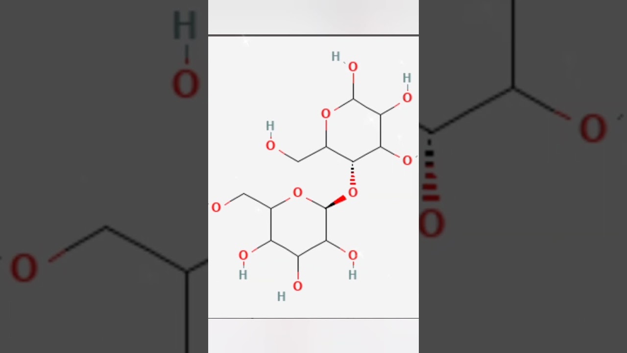 The  Most Abundant Organic Molecule on the Earth
