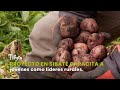 Proyecto en Sibaté Capacita a Jóvenes como Líderes Rurales - TvAgro por Juan Gonzalo Angel