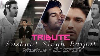 Sushant Singh Rajput Tribute Mashup Dj Spidy Chillout Mashup