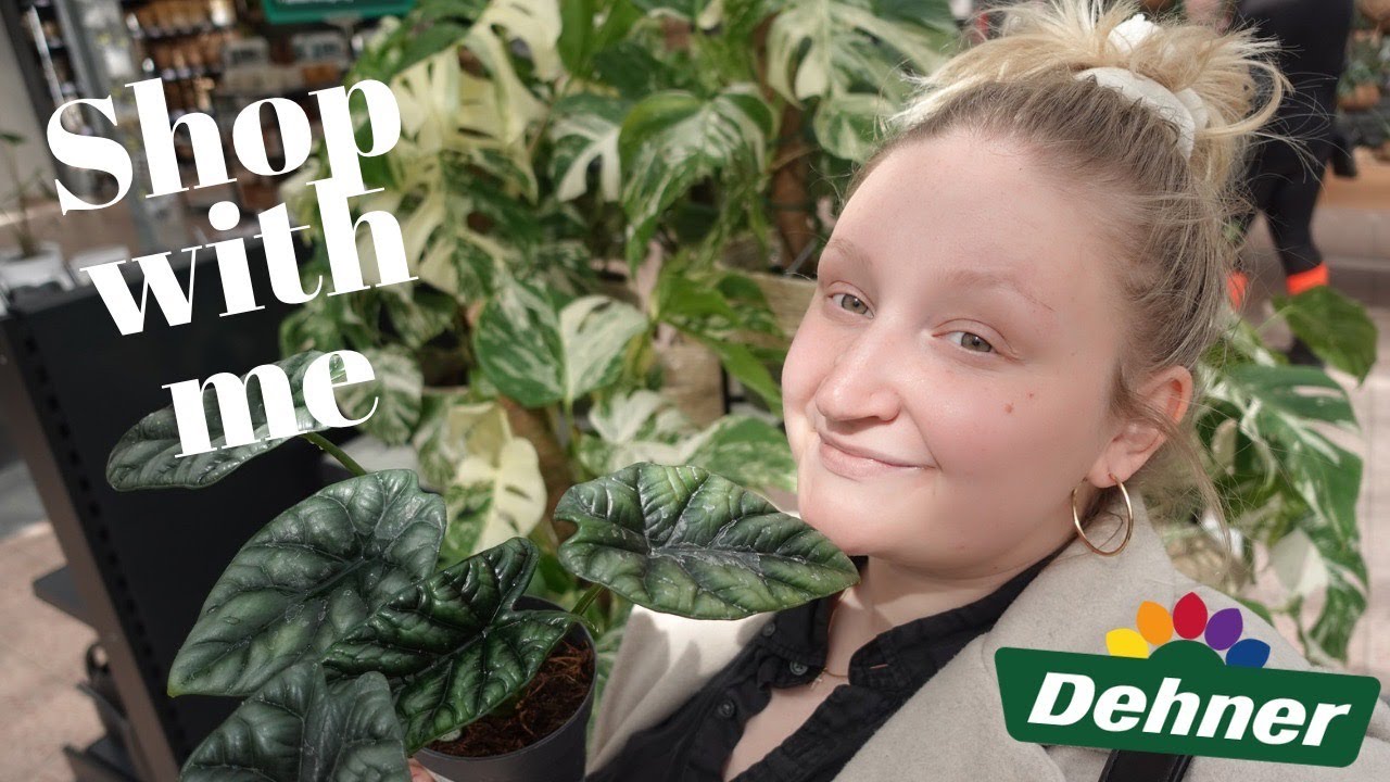 PFLANZEN Shop with me | Follow me around bei DEHNER 🪴 SINUATA'S FÜR 11,99€!