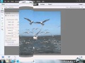 Learn how to use Photoshop Elements 11 - Part 33 -  How to Resize a Picture in Photoshop