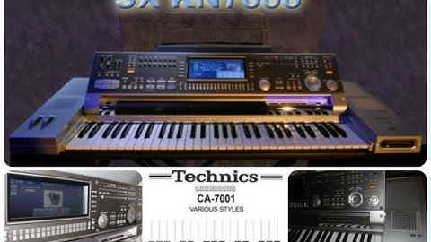 Petite Fleur: Les Hickory on Technics SX-KN7000 Arranger