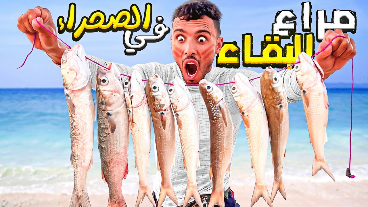 العيش الحر:👑تحدي صيد أكبر حصيلة😱في بحر الصحراء🐪المغربية🇲🇦حصيلة غير متوقعة 😍