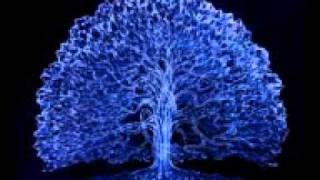 0160 Xamânica - David Antony Clark & Chief Dancing Thunder - Shaman Dancing