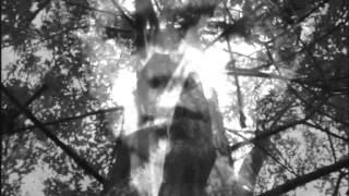 Video thumbnail of "Darkwood - Lied am Feuer"