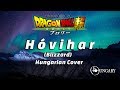 Dragon ball super broly movie  blizzard hvihar hungarian cover