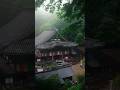 雨の日の幻想的なお寺☂️ 岡寺