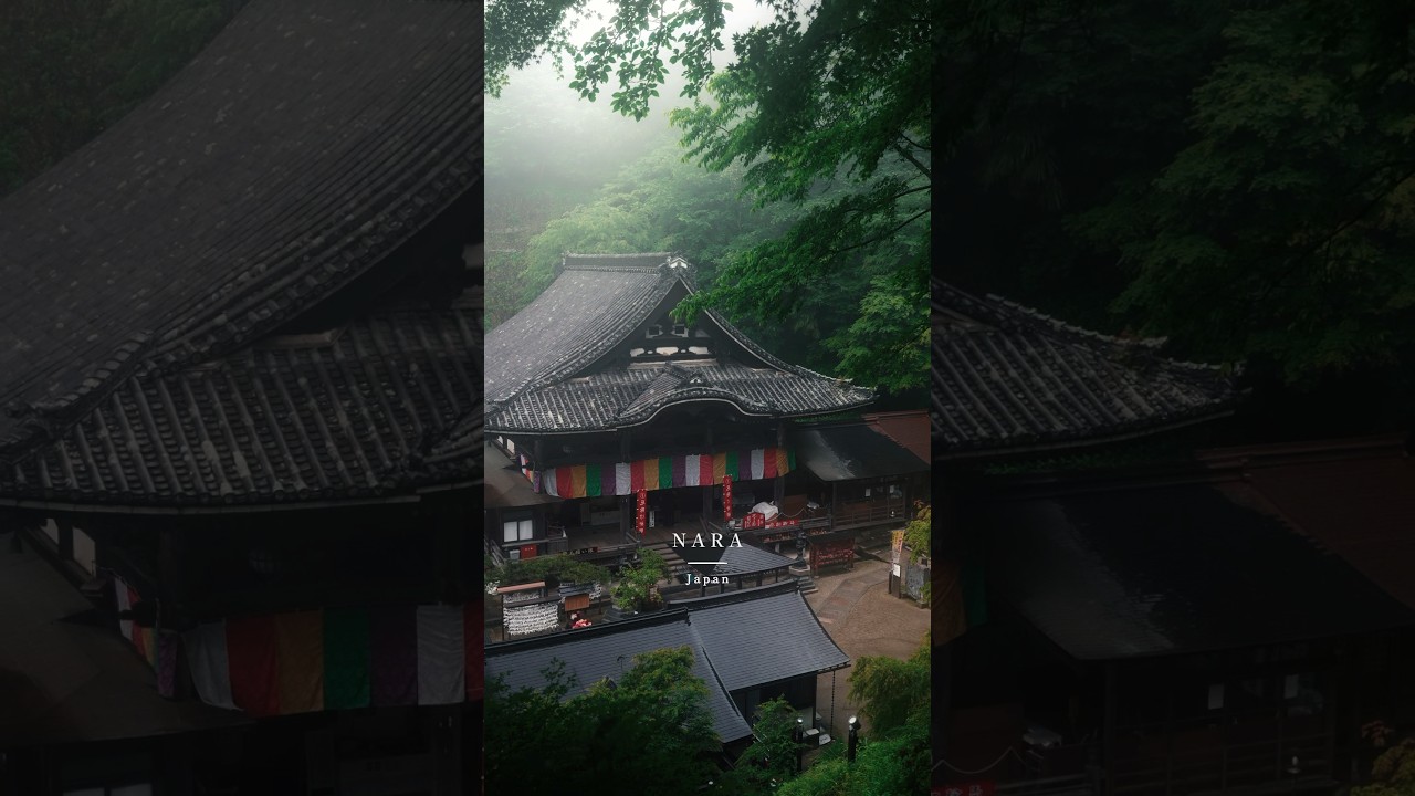 雨の日の幻想的なお寺☂️ 岡寺