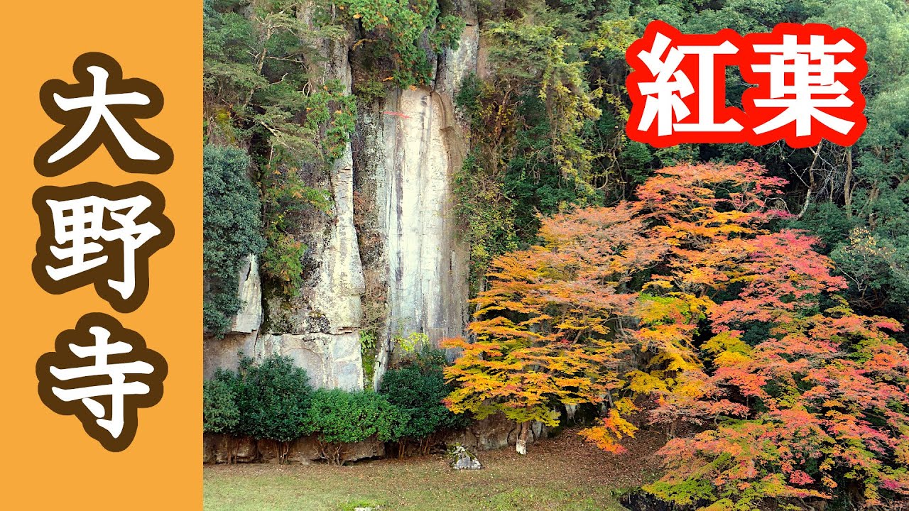 autumn-leaf-viewing-in-onodera-temple-nara-japan
