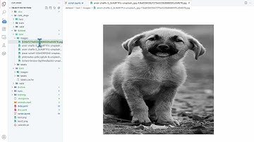 Object Detection Using Yolo V8