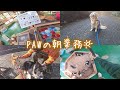 【密着】PAWの飼育員にカメラをつけて朝作業を覗いてみたら、動物たちが可愛すぎた🐕【作業用にも】