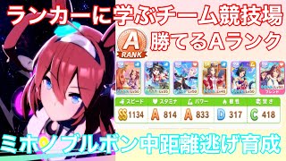 ウマ娘 ミホノブルボンaランク育成 ランカーに学ぶチーム競技場で勝てるaランクの編成 因子や立ち回り解説 ミホノブルボンの中距離逃げ型育成論 プリティーダービー Youtube