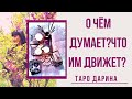 О чём думает мужчина и что это за человек???Онлайн гадание.Таро расклад.