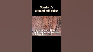 Stanford